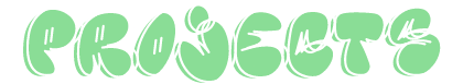 projects section header